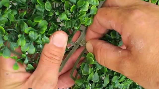 Artificial Hedges - Green Wall - Fast and Easy Quality Decor Using Artificial Boxwood Hedge смотреть онлайн