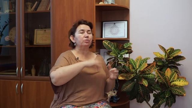 4. Упражнение как отпустить обиду и простить смотреть онлайн