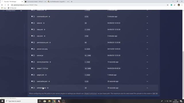 Whitelist and AuthMe | Skynode Tutorial Series смотреть онлайн