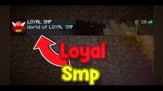 This Application's Can Join Loyal Smp ?|(@BulkyStar) смотреть онлайн