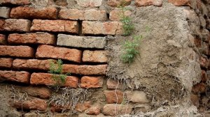 Великая стена Горгана - забытая фортификация (12+)