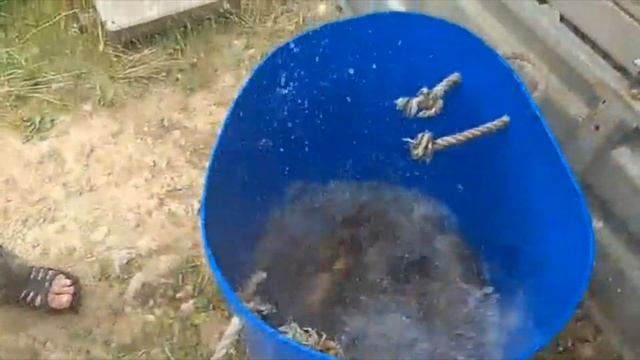 Запуск КАРПА 500 кг. 30.05.2019г. смотреть онлайн