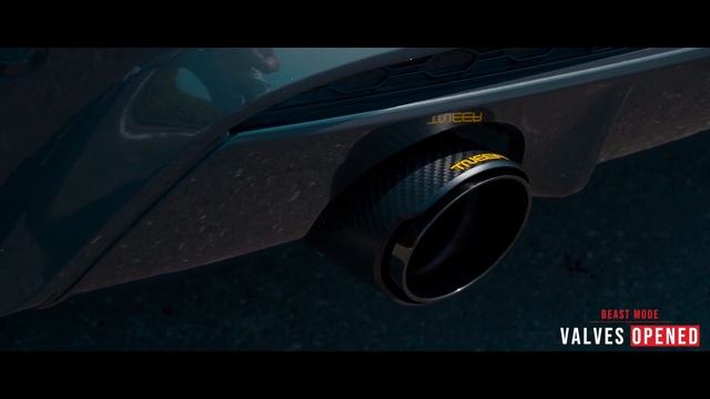 BMW G02 X4 30i M Sport W/ Tneer Exhaust