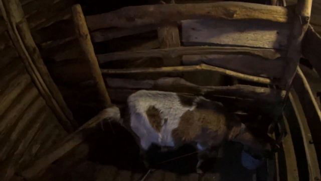 ДОМ В ДЕРЕВНЕ! Вывозим навоз. Варим затируху. Костян приехал в гости. смотреть онлайн