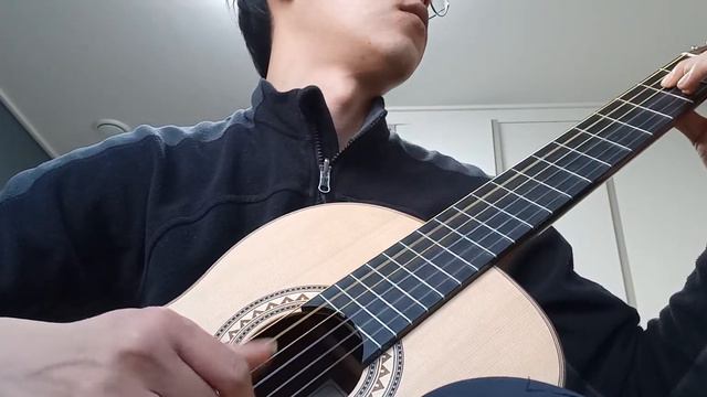 (22.02.26) Recuerdos de le Alhambra (15) (down tune) смотреть онлайн