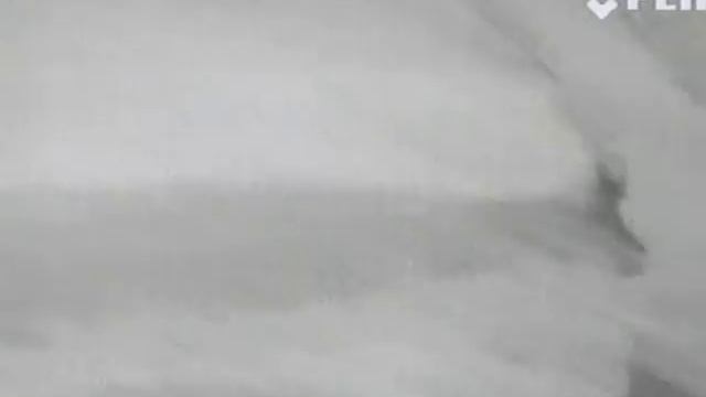 FLIR HS-324 Patrol 19mm Thermal camera (320 x 240 res) смотреть онлайн