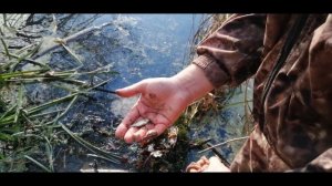 НЕОЖИДАННЫЙ УЛОВ НА ПОИСКОВЫЙ МАГНИТ МАГНИТНАЯ РЫБАЛКА