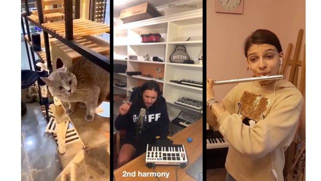 Alugalug Cat X Kiffness X Flute