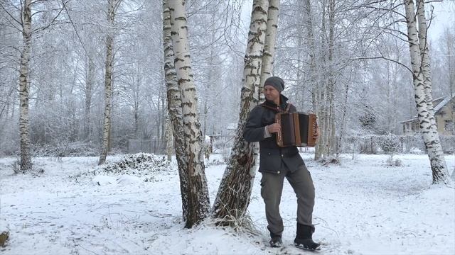 ❄️ГАРМОНИСТУ НИПОЧЁМ МОРОЗ!? Александр Бардин - СНЕГ СНЕЖОК смотреть онлайн