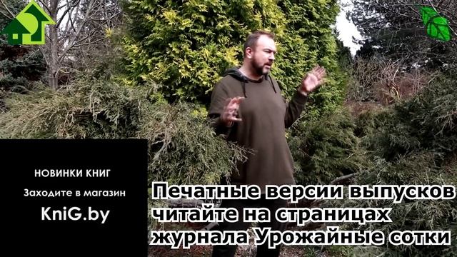 ДАЖЕ ОПЫТНЫЕ САДОВОДЫ НЕ ЗНАЛИ! УРОЖАЙ СМОРОДИНЫ, МАЛИНЫ и ЗЕМЛЯНИКИ СРАЗУ В 3 РАЗА БОЛЬШЕ! смотреть онлайн
