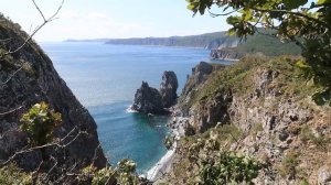 Сихотэ-Алинский заповедник. Экологический маршрут "Бухта Голубичная"