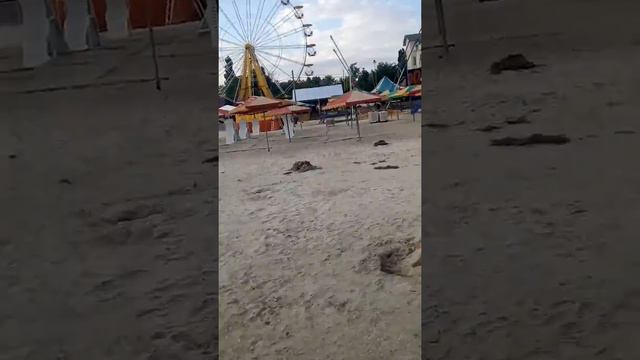 Море железный порт смотреть онлайн