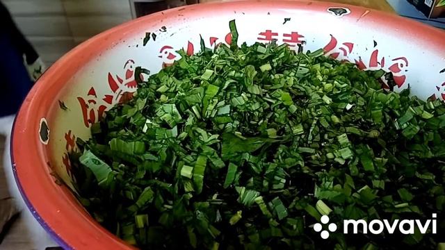 Острая черемша