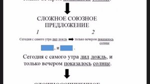 Русский язык_5 класс_Простые и сложные предложения