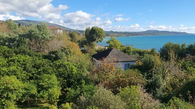 Зимуем у моря. Поездом в Абхазию? Где живём? Сколько платим? Как питаемся? смотреть онлайн