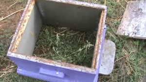 Улей из ппс и восковая моль