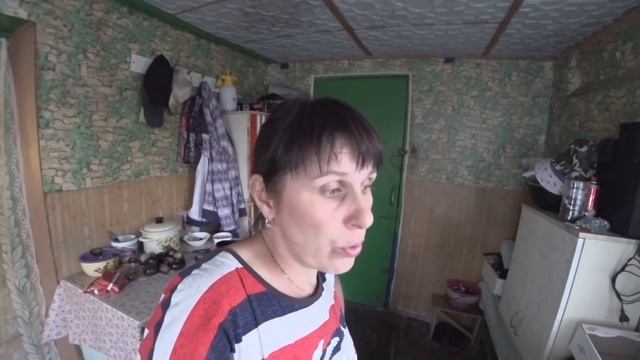 Избавляемся потихоньку! Курица Топчет ? других Кур Эксперименты ?️?? смотреть онлайн