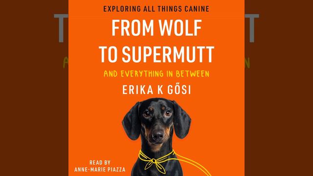 Chapter 16: Reactivity, Agility, Foxes, Gastritis.5 - From Wolf to Supermutt and Everything in... смотреть онлайн