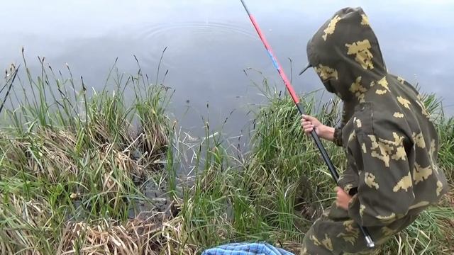 Рыбалка на поплавочную удочку Ловля карася Окунь на спиннинг рыбалка 2017 fishing СИБИРИЯ смотреть онлайн