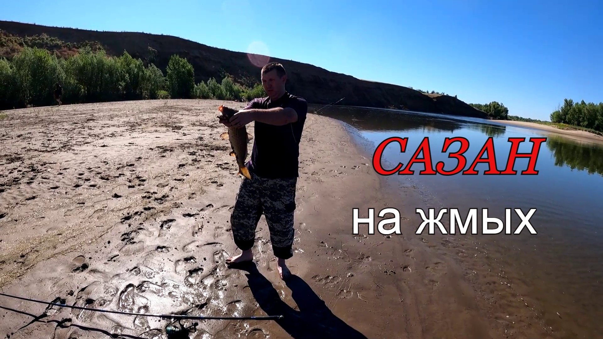 Ловля САЗАНА на жмых смотреть онлайн