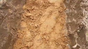 Делаем ленту под Забор. Песок, сваи и опалубка