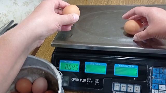 Несушки Ломан Браун, сколько несут и какой вес у яиц в 5 месяцев?????? смотреть онлайн