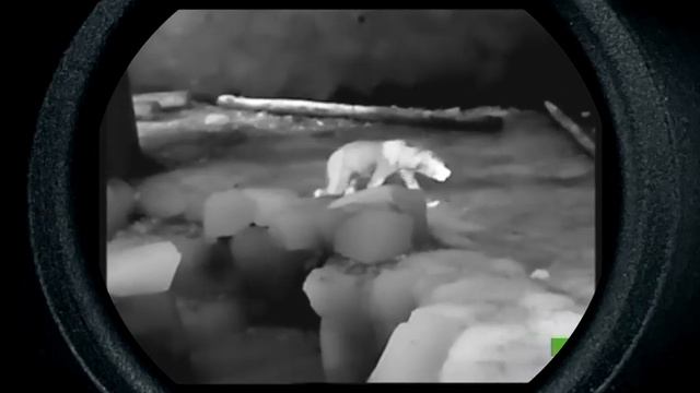 S25X New Thermal monocular смотреть онлайн