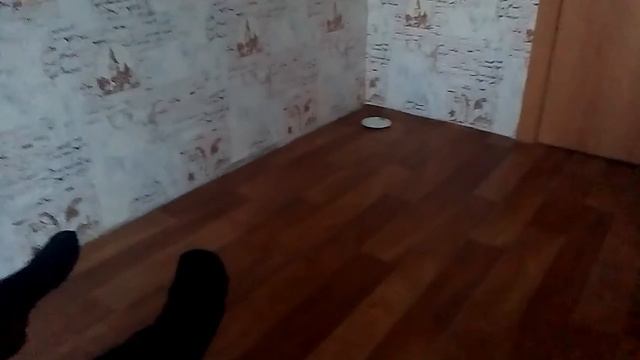 Пьяный ежик смотреть онлайн