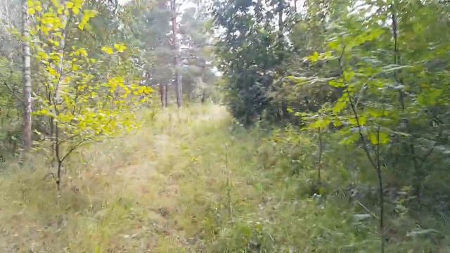 ПВД оз Боровень смотреть онлайн