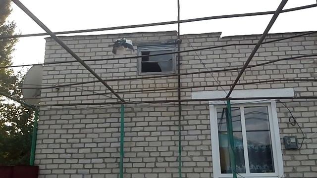 гнездо индоутки смотреть онлайн
