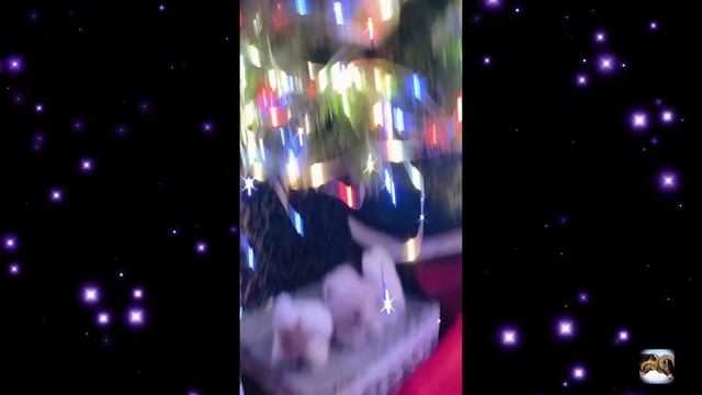 С печалью в голосе! Певица Слава похвасталась как украсила дом к новогодним праздникам смотреть онлайн