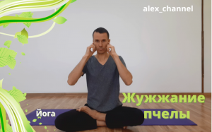 Йога. Брамари. Жужжание пчелыmp4