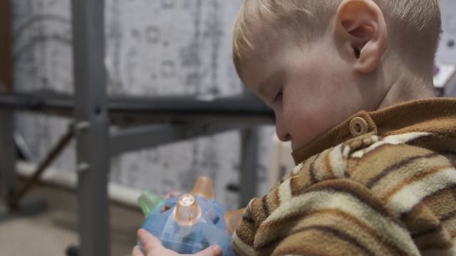 Лев и его любимая игрушка. 29.01.2021 смотреть онлайн