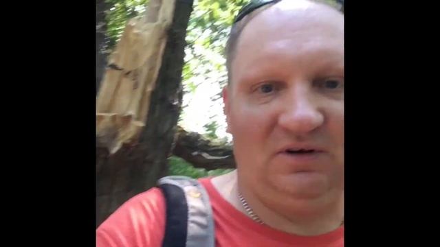 Лахта , лето , школа пейзажной фотографии с Фовеонычем. смотреть онлайн