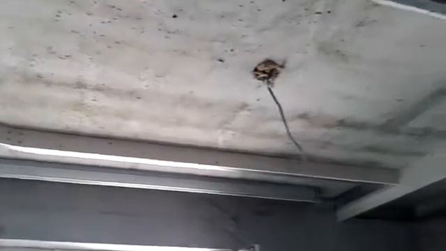Трёхуровневый потолок в кухне. смотреть онлайн