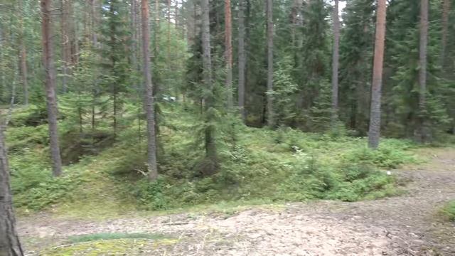 КОМАРОВО / ФИНСКИЙ ЗАЛИВ смотреть онлайн