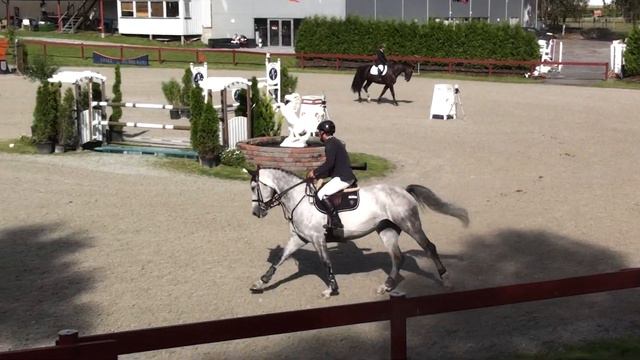 Tony Andrè Hansen and Winning Star, NBT 2012 Drammen (NOR) смотреть онлайн