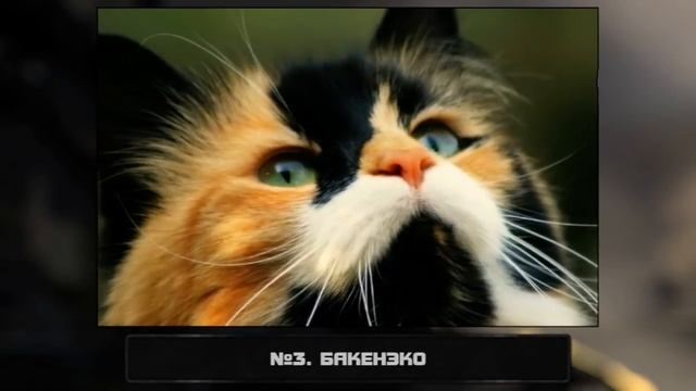 ТОП7 ЯПОНСКИХ МОНСТРОВ (18+) смотреть онлайн