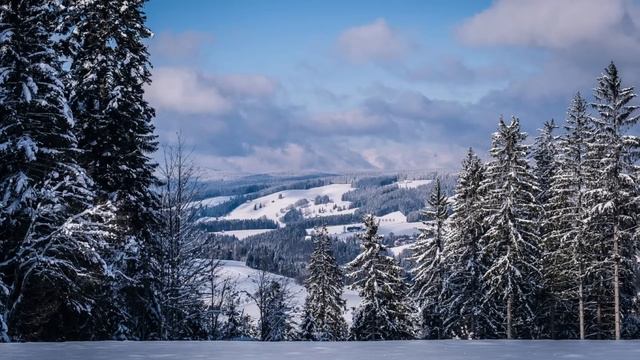 Истории из жизни. Надоело. Жизненные истории. Жизненные рассказы. Рассказы из жизни смотреть онлайн