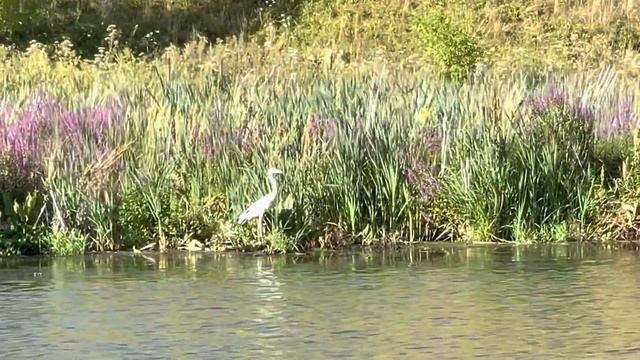 ИСЕТСКИЙ КАНЬОН || КАМЕНСК-УРАЛЬСКИЙ || РЕКА ИСЕТЬ || ОТДЫХ С СЕМЬЕЙ || УРАЛ смотреть онлайн