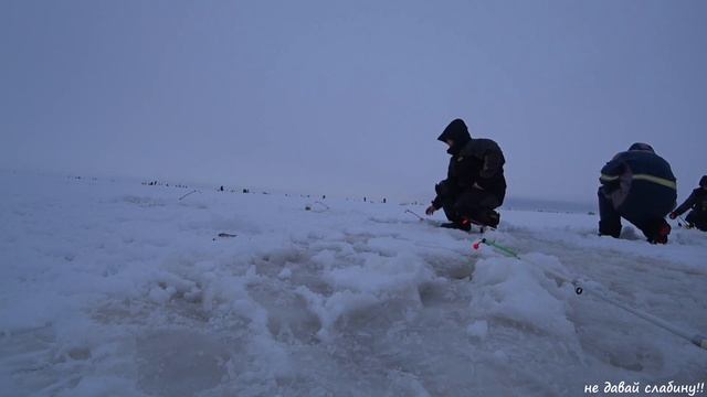КОРЮШКА ШПУНТЫ КОТЛИН рыбалка январь 2022 смотреть онлайн