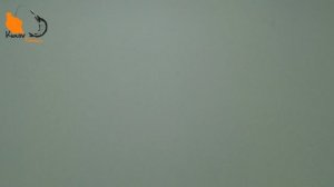 Narval Candy Vib Новые цвета Игра под водой