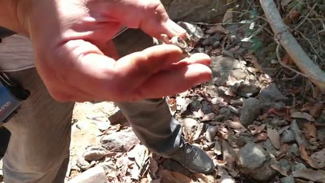 Detectorismo de OURO - Usei o Gold Monster 1000 смотреть онлайн