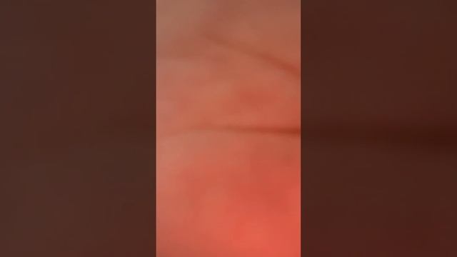 Сумки из бусин на заказ PANHCI made of beads смотреть онлайн