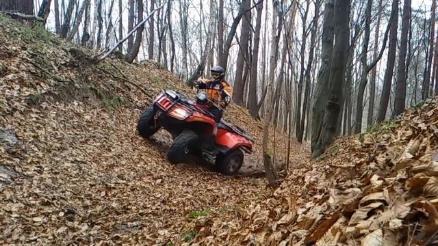 JAZDA W TERENIE W LESIE EXTREME TEAM ARCTIC CAT 1000 H2 смотреть онлайн