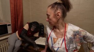 Что если завести ШИМПАНЗЕ ДОМА? Оренбург плюс Кухня = Довольная обезьяна