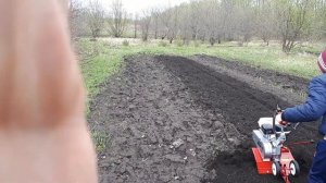 Новый мотоблок мкм-3. Первые впечатления от работы