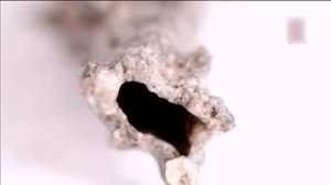 09 Старатели 4 й сезон 9 я сеия