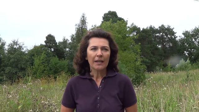 Почему я стала участником Клуба Богатых Путешественников смотреть онлайн