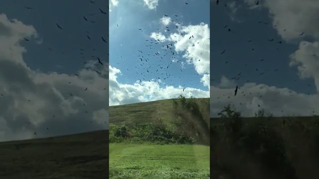 Отличный кадр? смотреть онлайн